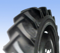 W529